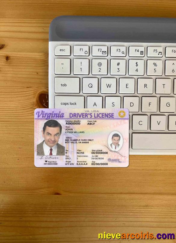 USA Virginia driving license photolook